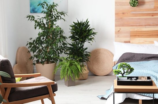 Wohnen-Einrichten-Teaser-Card-Feng-Shui Wohnen nach Feng Shui